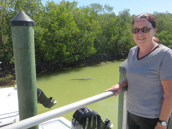Und im Wasser im Hafenbecken schwamm auch ein ziemlich großes Krokodil.
