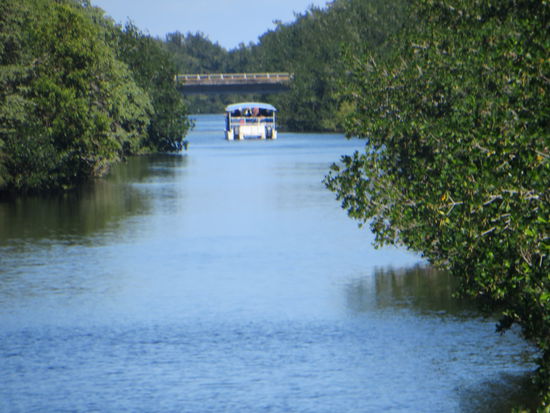 Es gab auch heute wieder Ausflüge mit den Schiffen – aber nicht für uns.