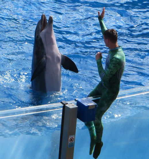 direkt am Beckenrand