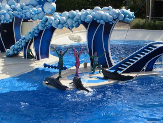 Applaus - 
Die Delphine holten sich immer wieder ihre Belohnungen ab, wenn sie ihre Kunstückchen abgeliefert hatten. Es waren 8 Delphine da, die trainiert waren