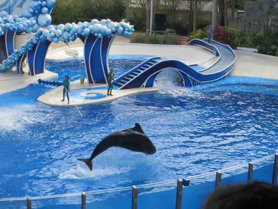 das wird wieder eine Riesenwelle