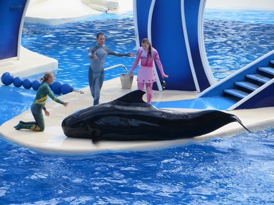 dafür gibts wieder Fisch