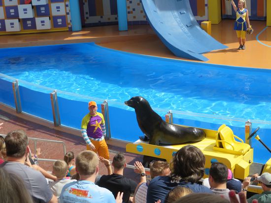 der Einstieg indie Show