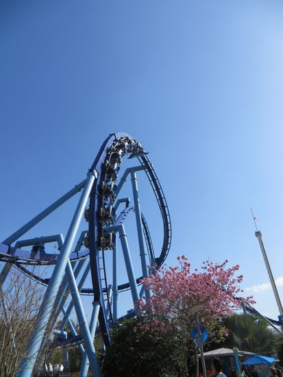 Nach der Vorstellung sind wir dann durch den Park in Richtung der Walvorführung geschlendert, eine riesige Achterbahn fuhr über unseren Köpfen mit kreischenden Menschen.