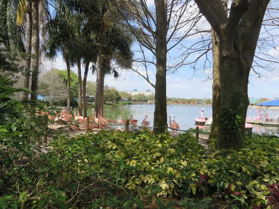 Dann ging es an den rosa Flamingo vorbei und wir erreichten das Ocean Theater.