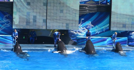 hier gibts die Belohnungen für die Leistungen