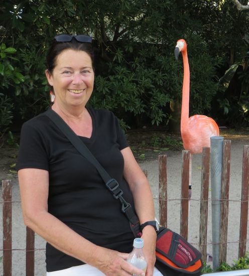 ein ganz schön langer Hals