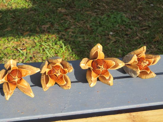 ganz schön geworden