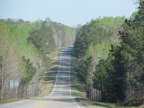 wir fahren durch den Frühling