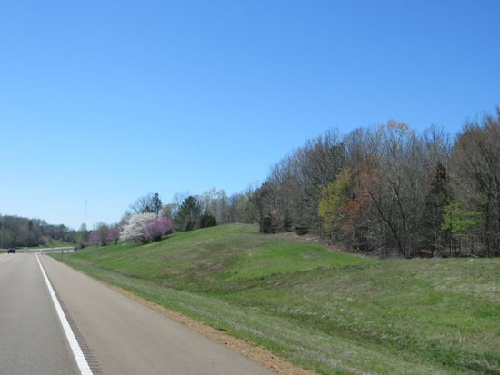 Frühling läßt sein blaues Band ...
