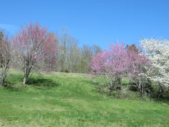 Es macht richtig Spaß, bei dem Wetter und der Umgebung zu fahren und wir sind am frühen Nachmittag in Memphis. Wir fahren wieder zu dem Campingplatz Graceland, auf dem wir im vorigen Jahr schon mal waren, und bekommen problemlos einen Stellplatz und buchen für zwei Tage