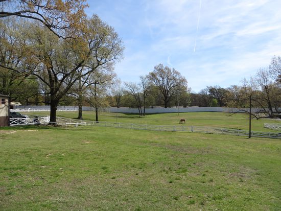 Auf dem großen Gelände hielt Elvis damals auch Pferde und auf dem iPad wurde eine kleiner Film eingespielt, in dem Elvis auf seinem Pferd RisingSun ritt.
