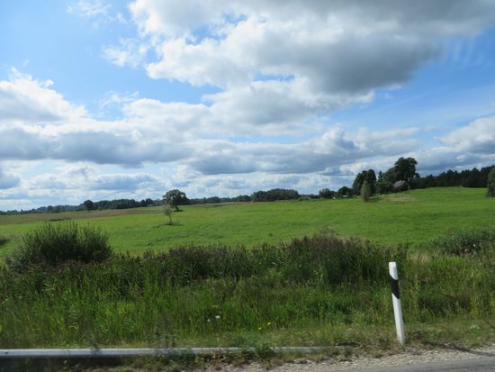 unterwegs - alles grün