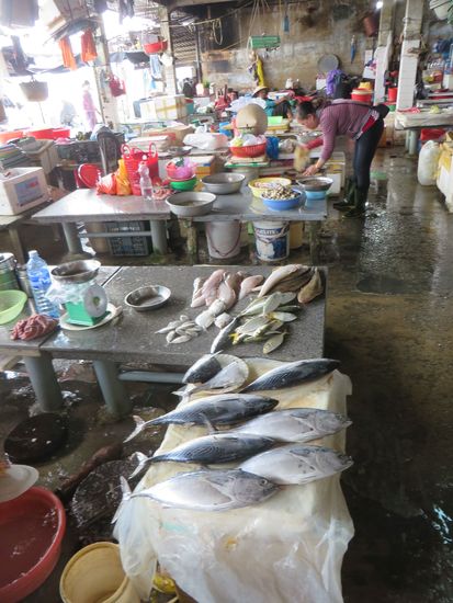 frischer Fisch