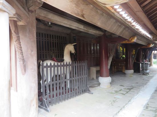 Je ein weißes und ein schwarzes Pferd, vielleicht für eine Prozession?