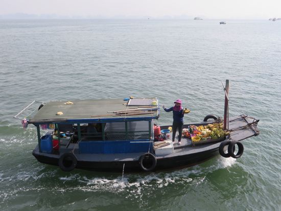Bananen werden uns zum Kauf angeboten.