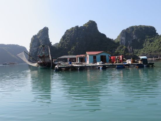 die schwimmenden Häuser