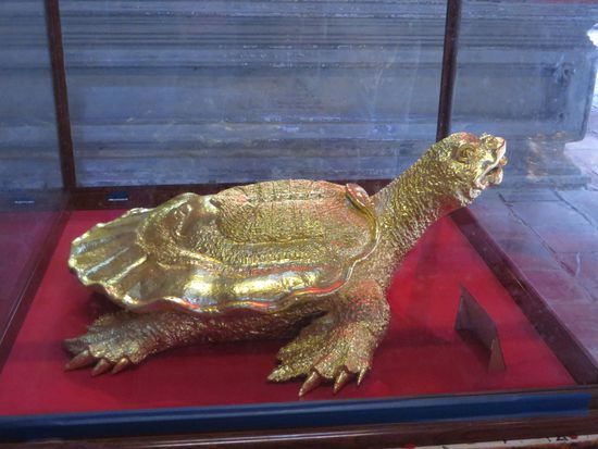 Die weise Schildkröte