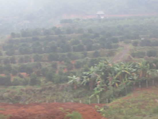 Für uns geht’s aber weiter, ca. 190 km. Und es geht wieder weiter durch die Berge und den Nebel.