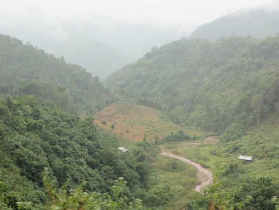 Die Landschaft verändert sich aber nicht, es ist weiterhin sehr grün und auch das Wetter ist wieder nebelig.