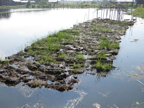 Das Stück ist bald als landwirtschaftliche Nutz-fläche bepflanzt