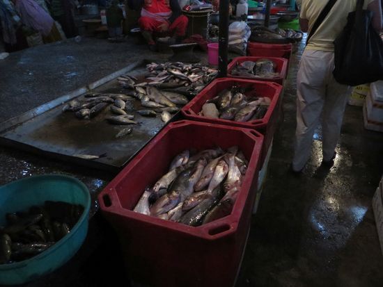 Frischen Fisch gab es auch.