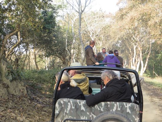 Alle hielten Ausschau nach den Panzernashörnern, die hier zahlreich vorkommen.