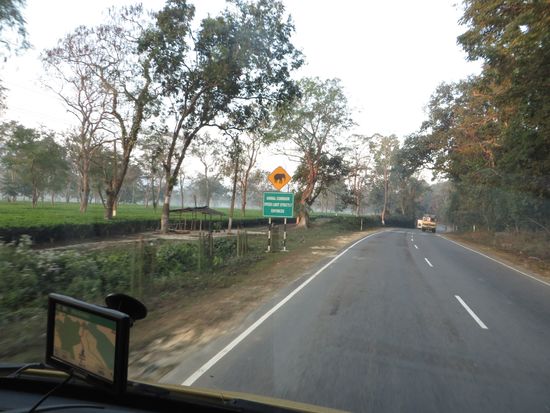 vor Nashörnern wird gewarnt