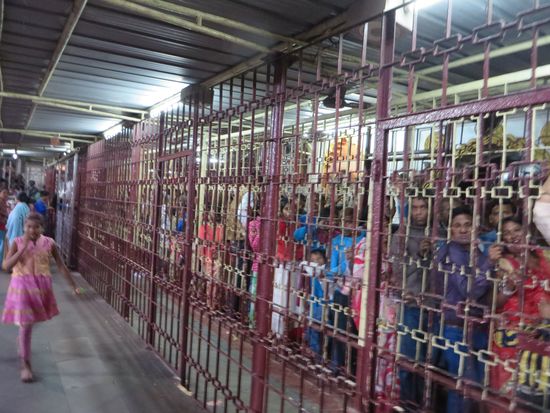 In vergitterten Wegen standen die Gläubigen an, um zum Heiligtum im Tempel zu gelangen.