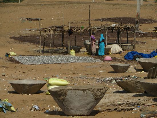 die Fische sind auf großen Planen ausgebreitet