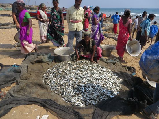 Die Frauen kauften den Fisch und trugen ihn dann in großen Schüsseln auf dem Kopf davon.
