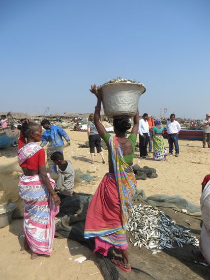 der Fang wird weggebracht