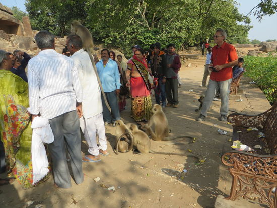 Es lebten auch Affen hier auf den Bäumen, sie wurden gefüttert und setzten sich bei den Menschen auf die Schultern.