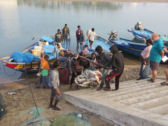 ein Netz voll großer Fische