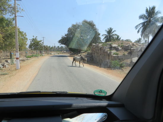 Einfahrt zum archäologischen Park