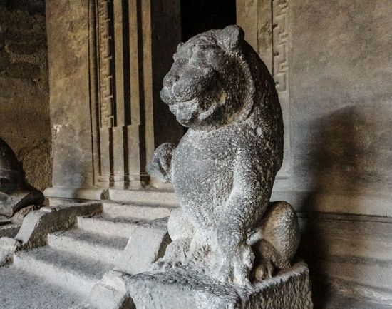 ein Löweaus Höhle 2