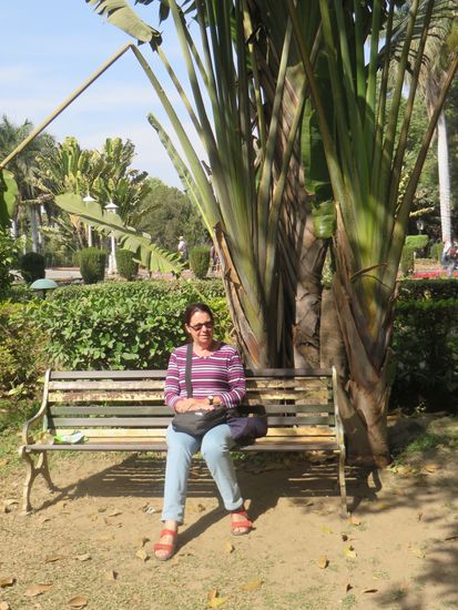 Auch heute noch kann man von der lauten Umwelt abschalten hier in diesem Garten.