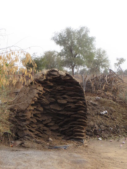 Sie sammeln den Kuhmist von der Straße und formen daraus flache Fladen, die getrocknet und dann ordentlich gestapelt werden. Die Fladen dienen dann als Brennmaterial fürs Kochen.