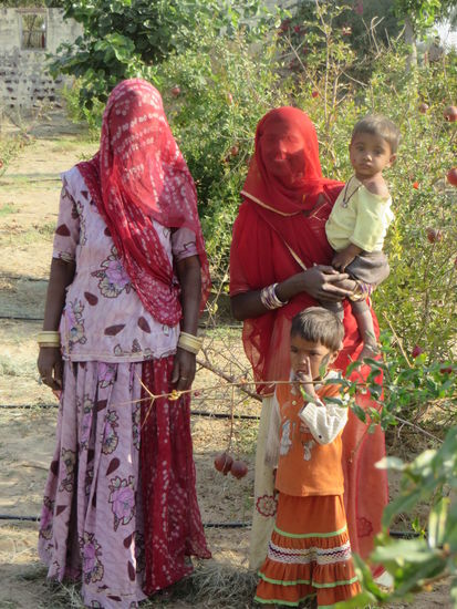 Die Frauen sahen aus einiger Entfernung zu