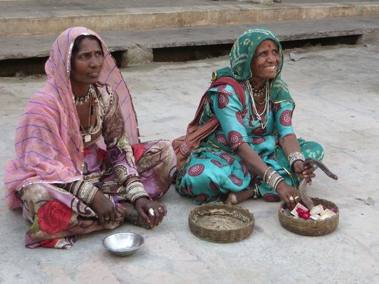 die Schlange kann man anfassen