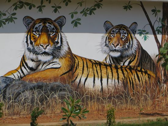 Wir warteten an einem kleinen Häuschen auf die Jeeps, an der Wand waren Tiger aufgemalt, so einen hofften wir zu sehen. Dann um 14.3o Uhr ging unsere Safari mit zwei Kleinbussen los.