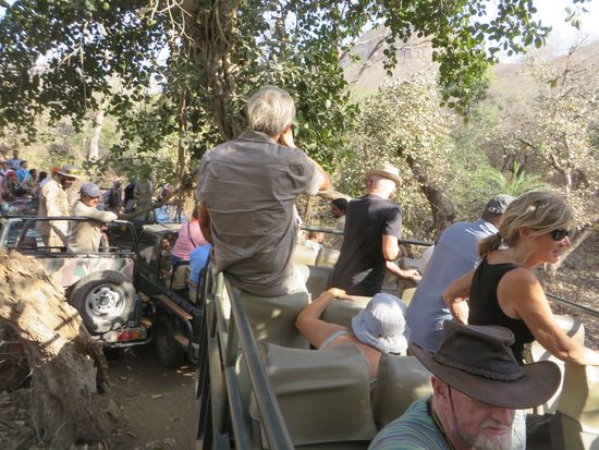 Alle schauen gespannt