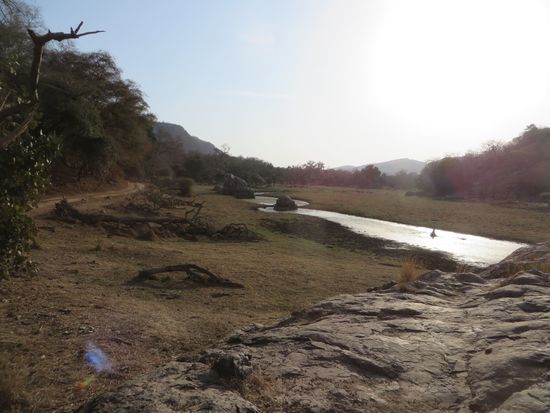 So idyllisch es aussieht, Vorsicht ist doch geboten, s. o.