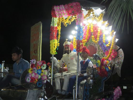 deer Bräutigam in der Kutsche