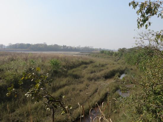 Ein Blick über die Savanne, heute Morgen sei ein Tiger gesehen worden, hieß es. Wir haben aber keinen gesehen.