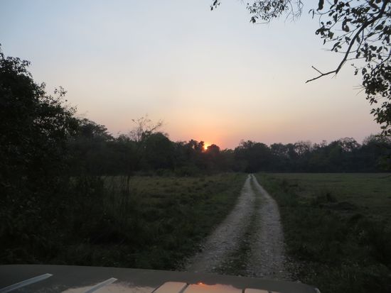 Dann fuhren wir in den Sonnenuntergang hinein.