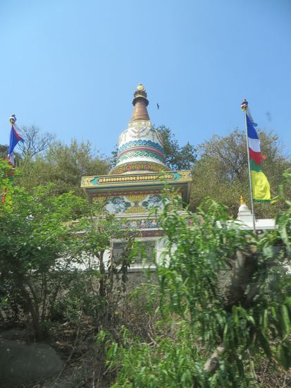 Dann ging es hoch hinauf zum Affentempel