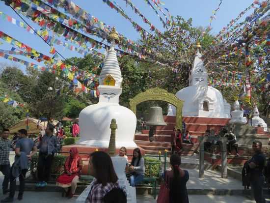 Viele bunte Gebetsfahnen flattern im Wind.