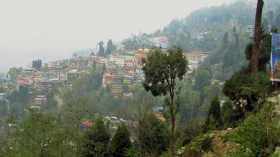 Wir haben einen weiten Blick über die Stadt Darjeeling, die sich am Hang hochzieht.