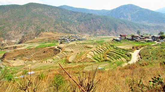 Dann geht es weiter, wieder hinunter ins Tal und zu den Reisfeldern.